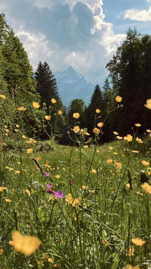 Gletscherblick 3* Hasliberg